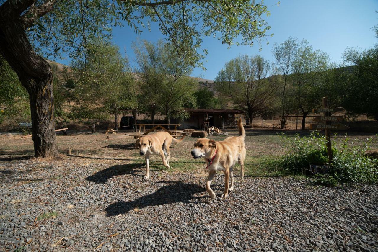 Orias Guesthouse & Farm Kalavryta Ngoại thất bức ảnh